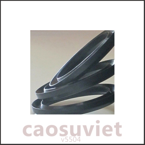 Cao su kỹ thuật - Phớt cao su kháng mài mòn