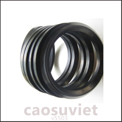 Cao su kỹ thuật - Phớt cao su kháng dầu