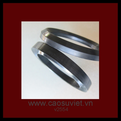 Cao su kỹ thuật - Phớt V-ring của piston bơm cao áp